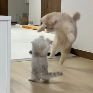 👊