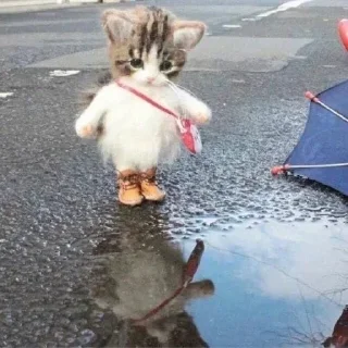 ☔