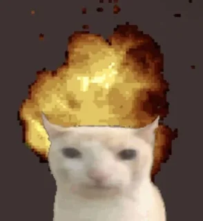 😺