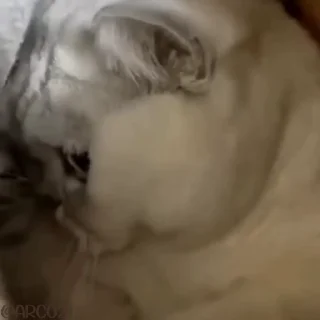 💔