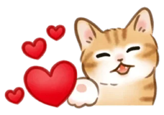 🐱