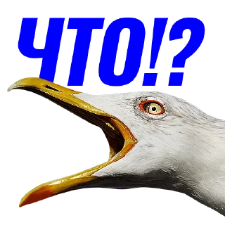 😲