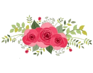 🌹