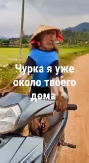 🤩
