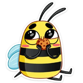 🍪
