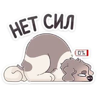 😴