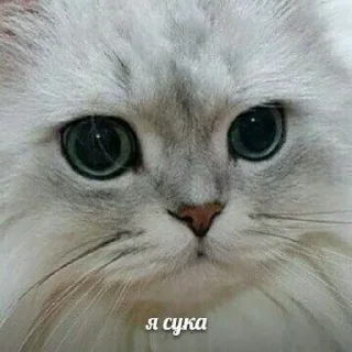 😒