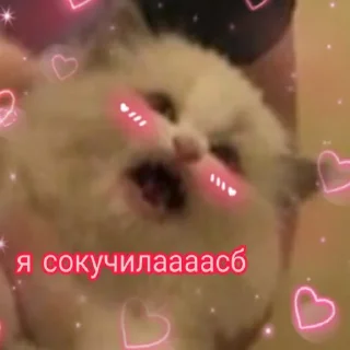 🥺