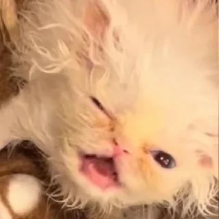 😉