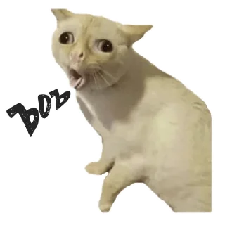 (@StickerHyicker) Пушистые Пидоры 2