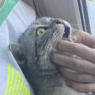 😱