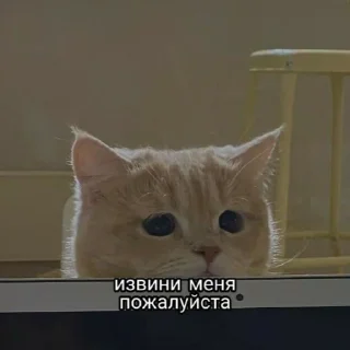 🥺