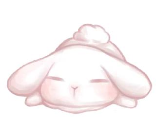 🐰