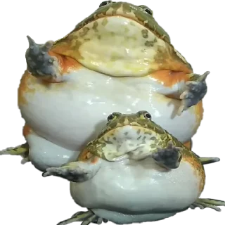 🕺