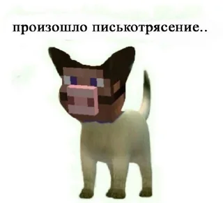 🤨