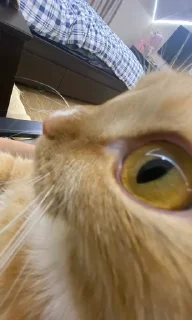 👁️