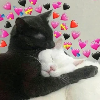 🖤