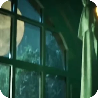 🌟
