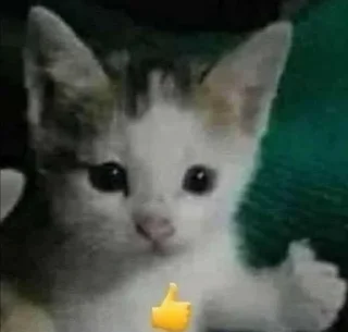👍