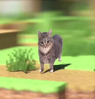 🐈