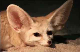 ☺️