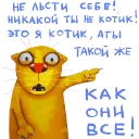 😼
