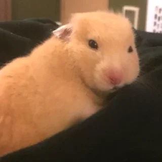 😒