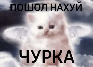 👼