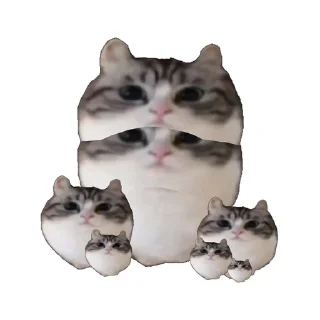 🧂