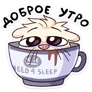 😴