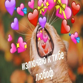 ❤️