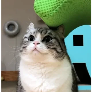 😮