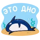🦈