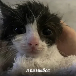 🛁