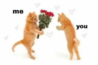 💝
