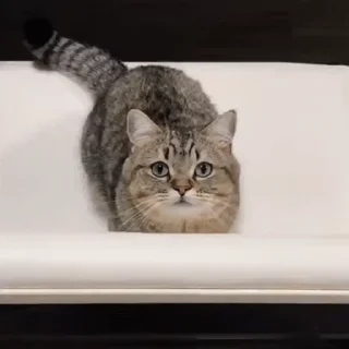 😍