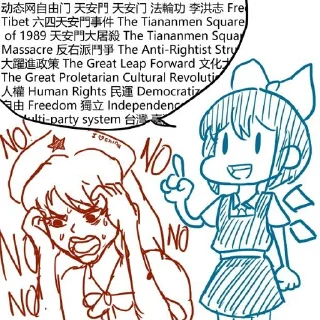 🇨🇳