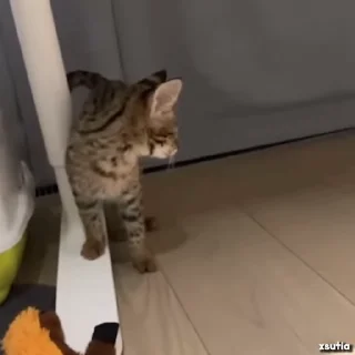 😓