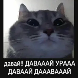 🎉