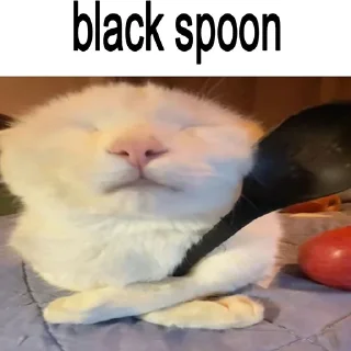 🐈