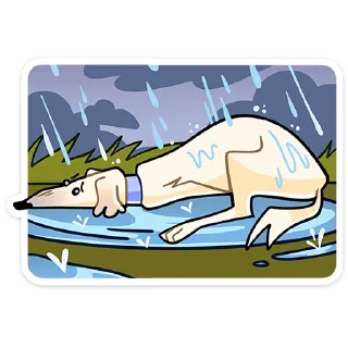 ☔️