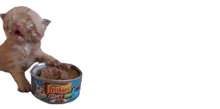 🤢