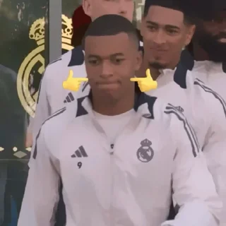 🐢