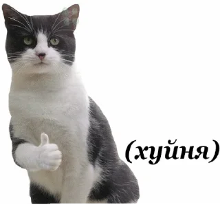 👎