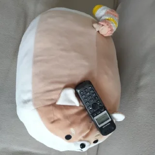 📞