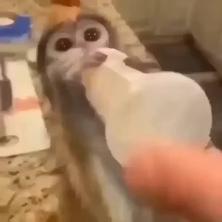 🥛