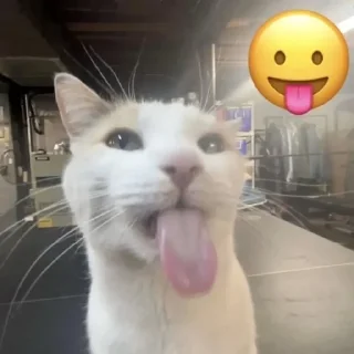 😛