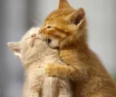 💋