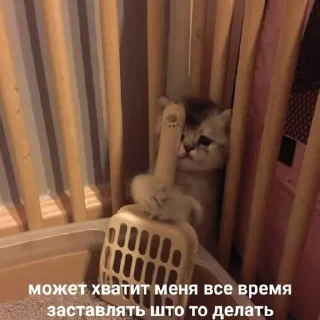 😣