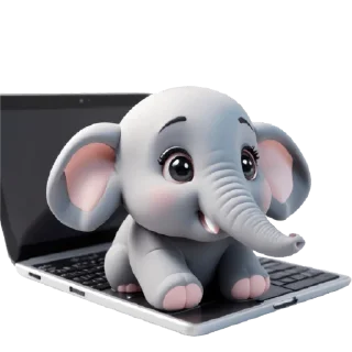 💻
